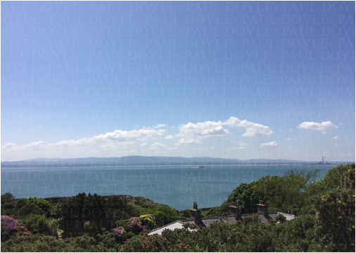 Horizon Garden